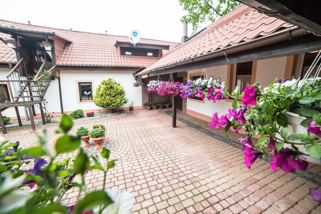 Bed and Breakfast Gosciniec Czapla Дивіти Екстер'єр фото